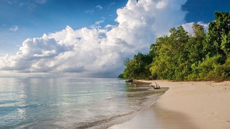 Long-Island