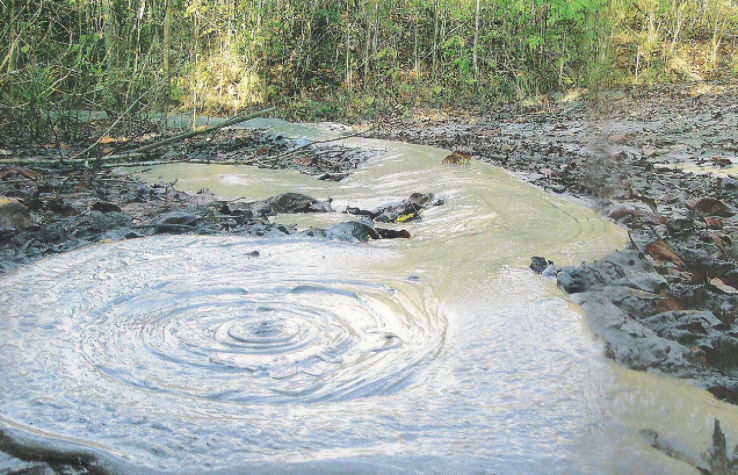 Mud Volcano in Baratang