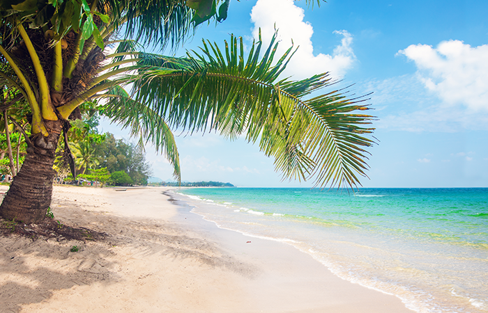 patti-level-beach