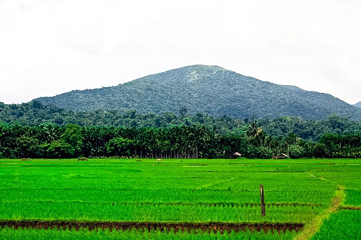 Saddle Peak