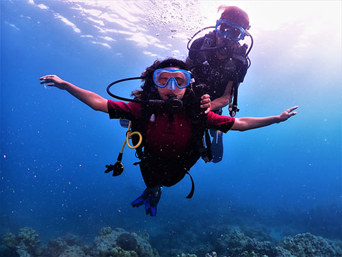 Boat Diving in Havelock