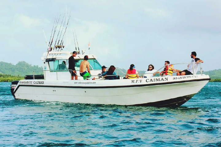 Private boat around Havelock