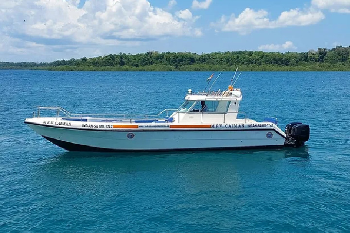 Private boat around Havelock