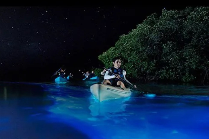 Night Kayaking in Port Blair