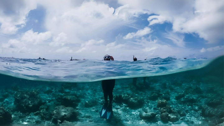 Scuba Diving in Chidiyatapu