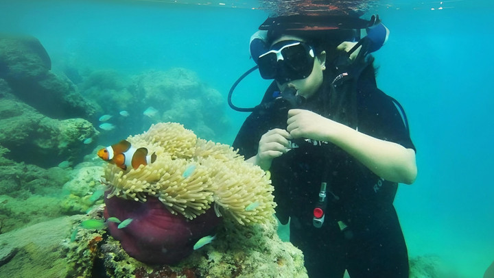 Scuba Diving in Havelock Island