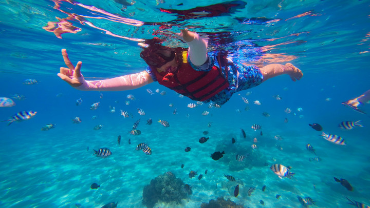 Snorkeling in Elephant Beach