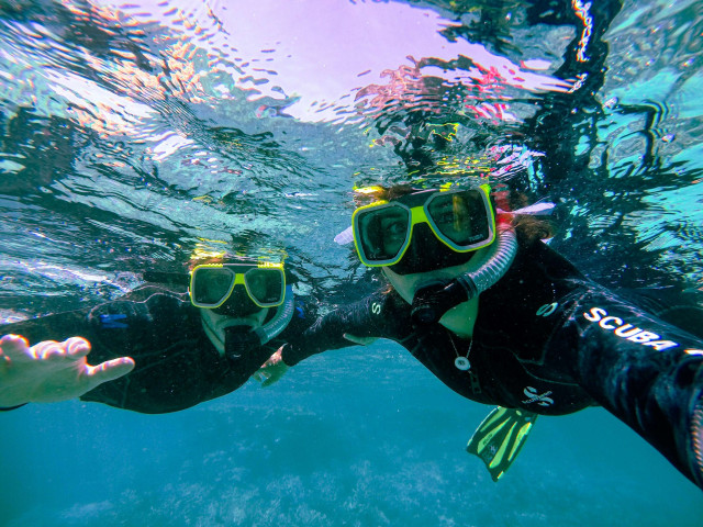 Snorkeling in North Bay