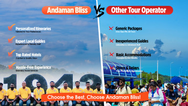 Andaman Bliss vs Other Tour Operators: Why Travellers Choose Us First