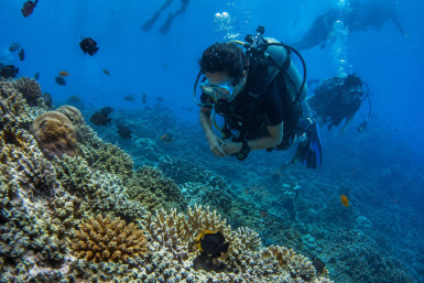 Scuba Diving in Andaman: Best Sites, Prices, Season & Certification Guide