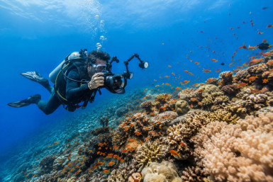 Best Places for Underwater Photography in Andaman Islands