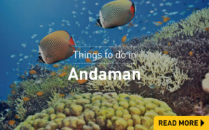 Things to do in Andaman Islands