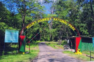 Mount Harriet in Andaman