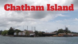 Chatham Island 
