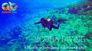 6 Places to do Scuba Diving in Andaman & Why?
