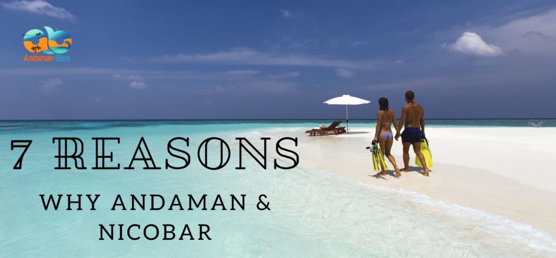 Top 7 Reasons why Andaman & Nicobar is best for Honeymoon