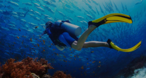 Scuba diving in Northbay Island, Coral Island, Port Blair, Andaman