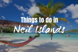 Things to do in Neil Islands