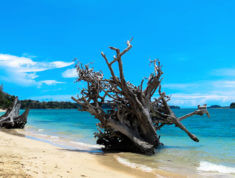 Wandoor Beach In Andaman