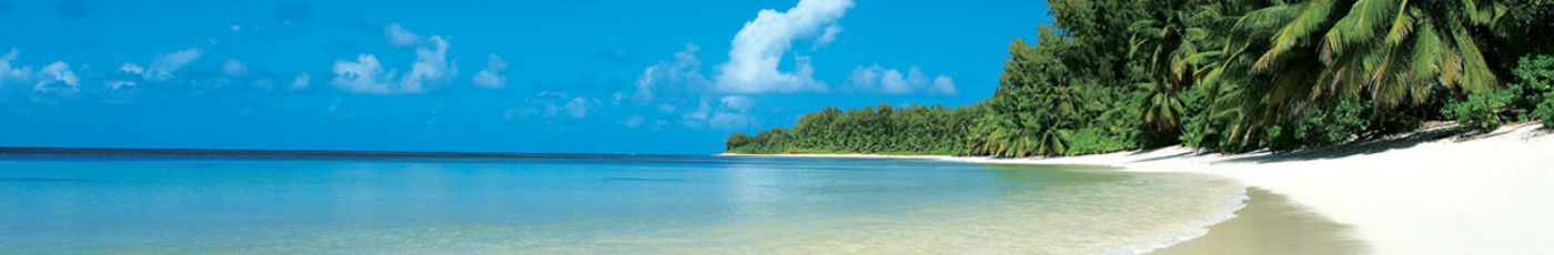 Book Your Best Andaman Packages For Your Exciting Journey