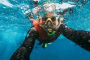 Snorkelling in Andaman Islands