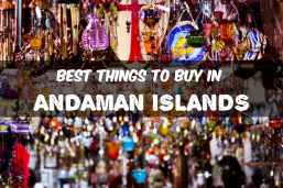 Andaman Group Tour Packages