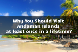 Why you should visit Andaman Islands at least once in a lifetime?
