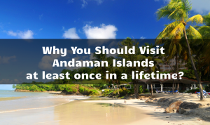 Why you should visit Andaman Islands at least once in a lifetime?