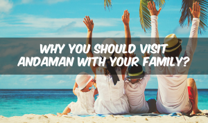 Why you should visit Andaman Islands with your family?